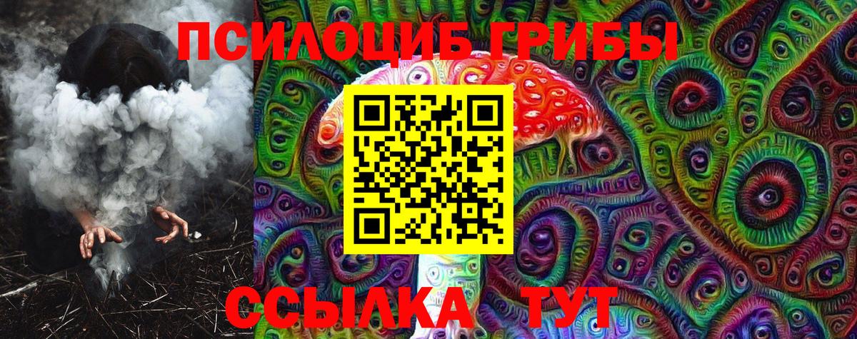 Псилоцибиновые грибы MAGIC MUSHROOMS Кохма
